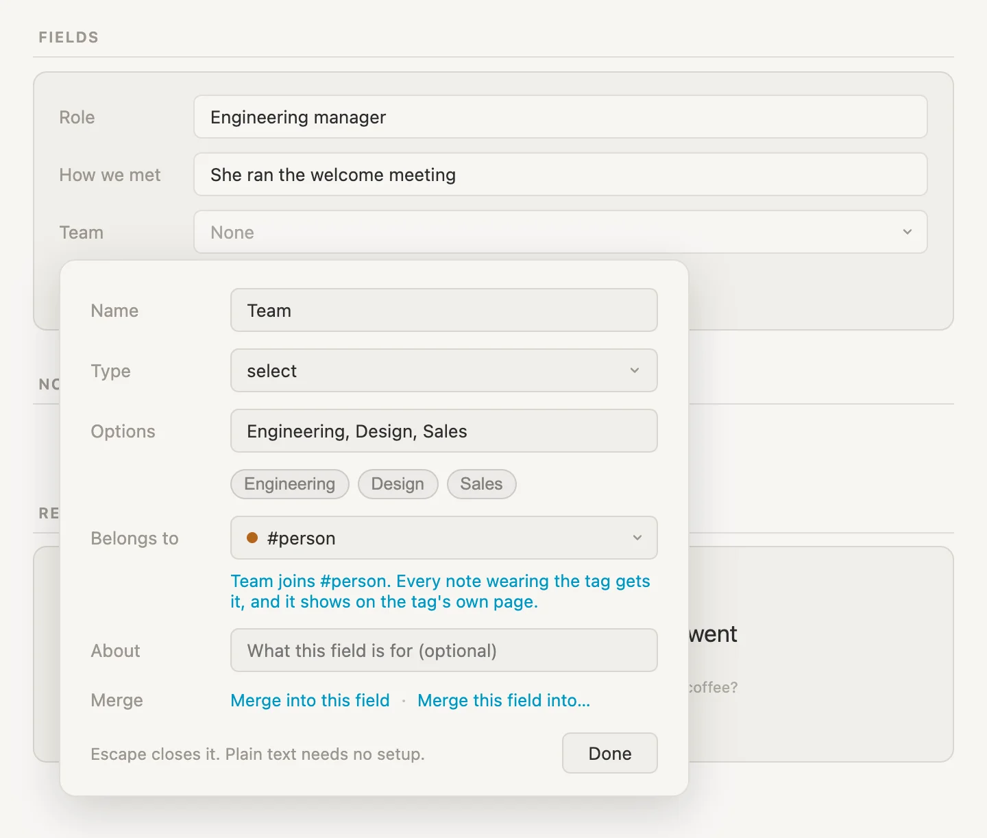 The Team card set up: Type select, the three options as chips, and Belongs to #person